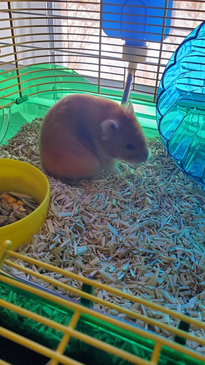 Small Animal Bedding 10L