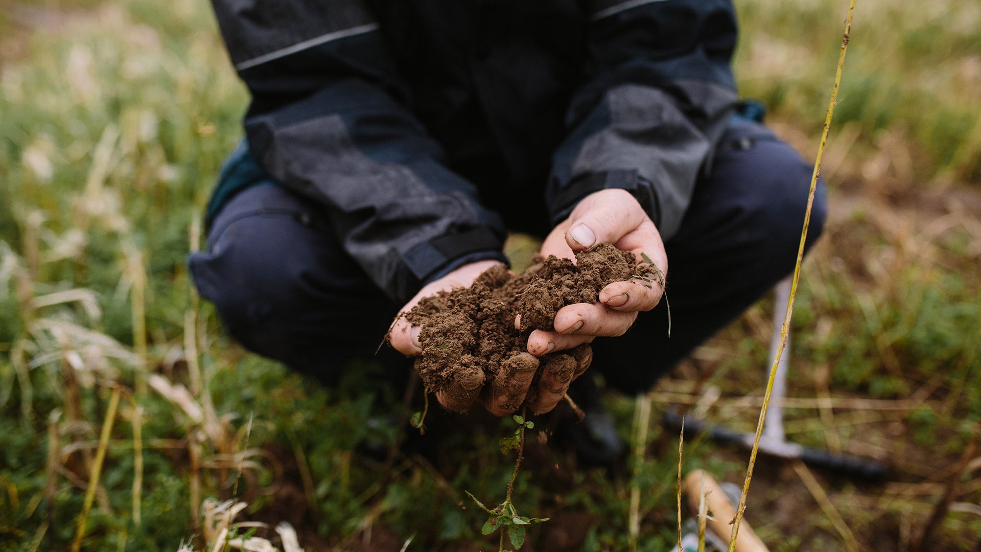 soil analysis