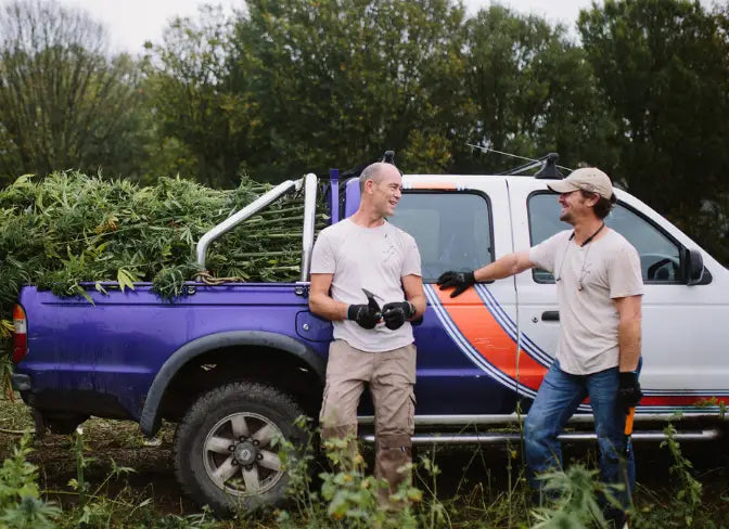 hemp harvest with truck